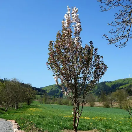 Ferienwohnungen Braun Seelbach  Exterior photo