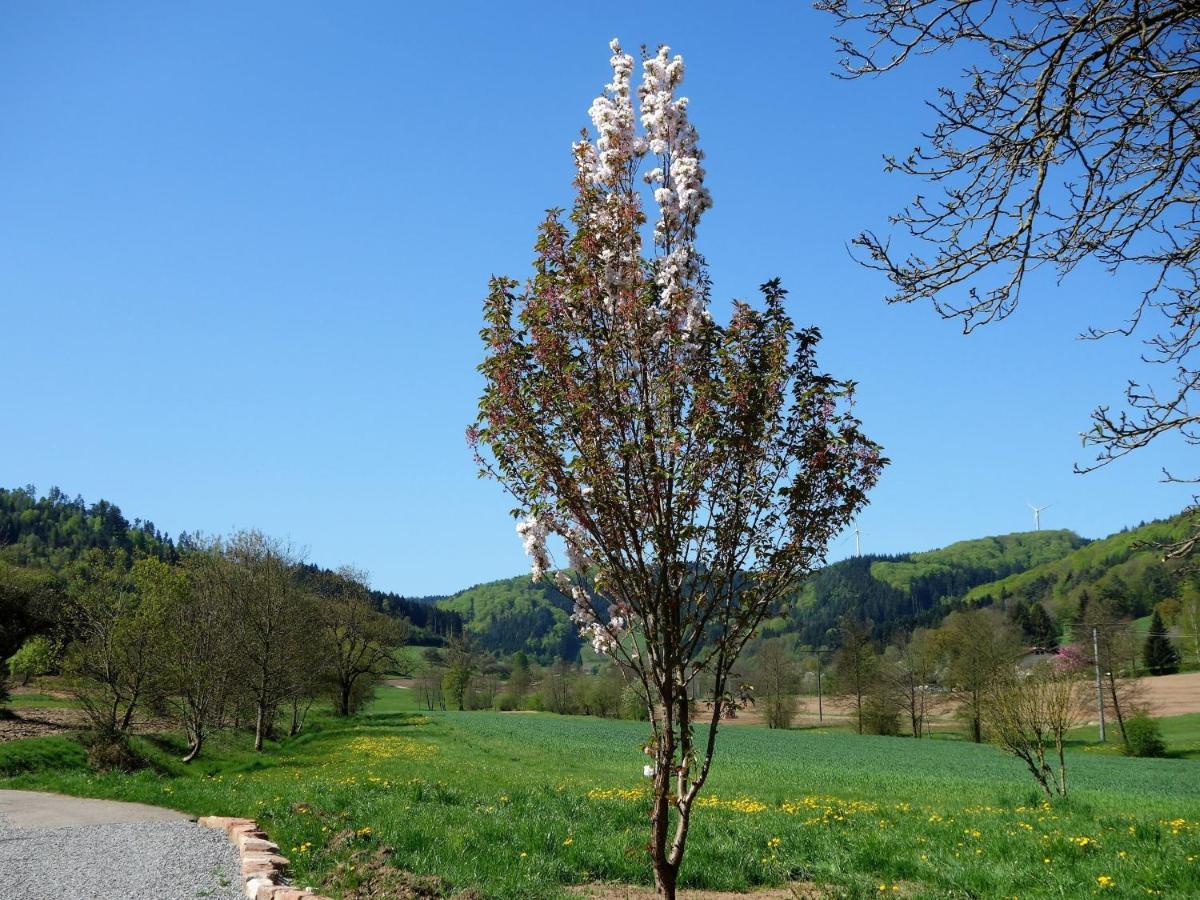 Braun * Seelbach (Baden-Wurttemberg)