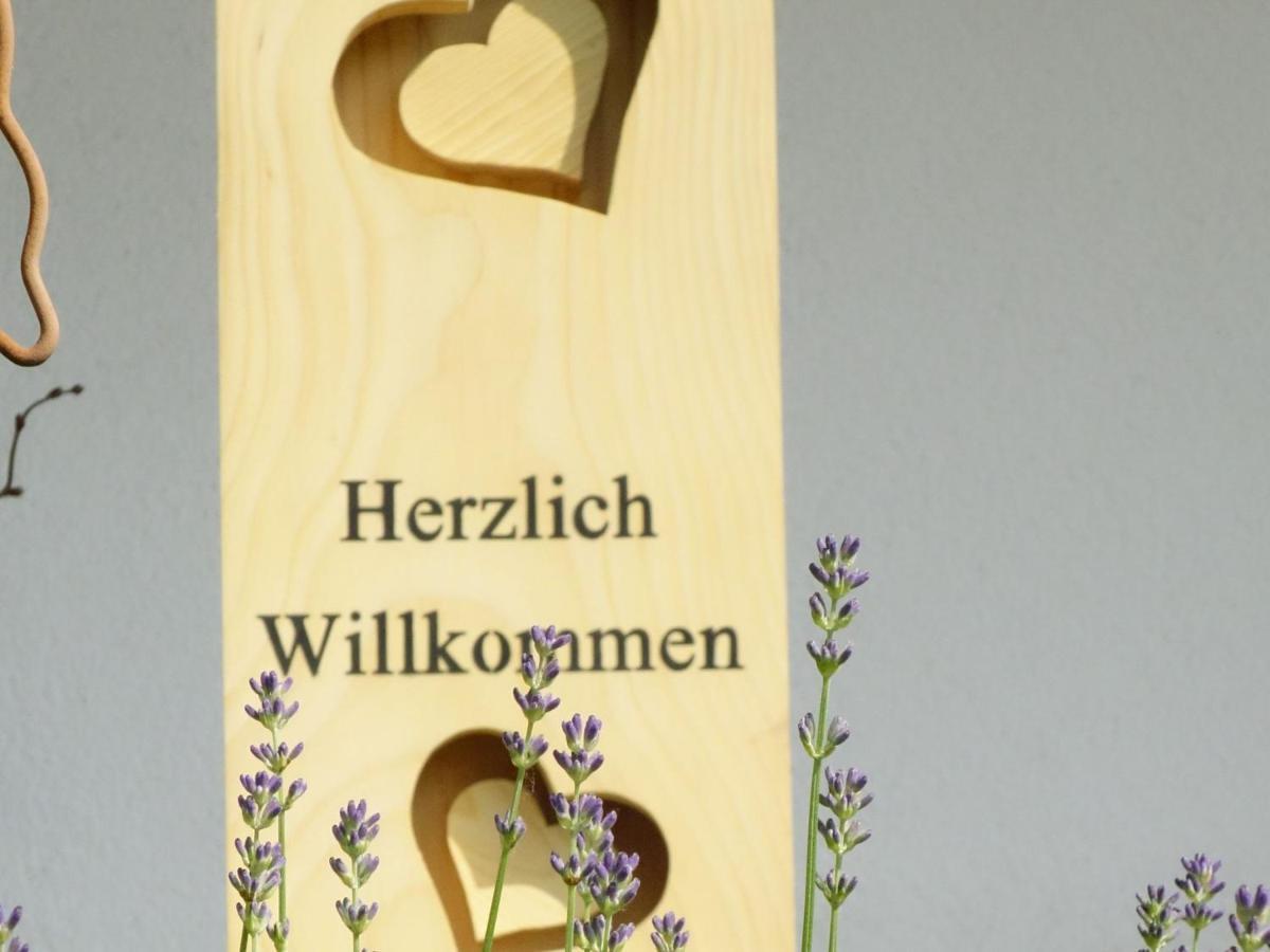 Braun Apartment Seelbach (Baden-Wurttemberg)